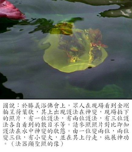 1605064117101417.jpg